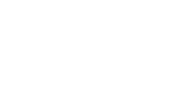 the Bel Chicago